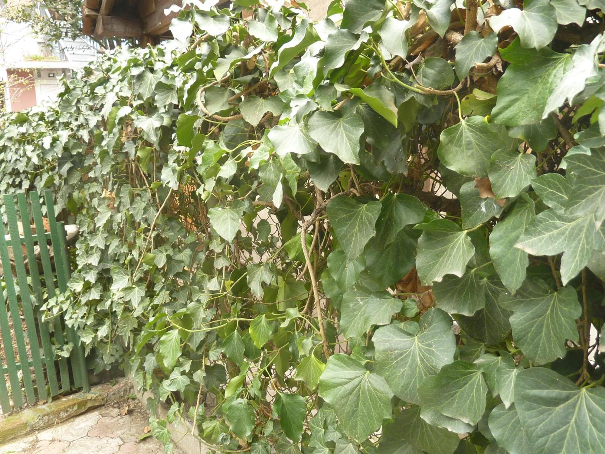 Gardens In Vake, Tbilisi Hotel Exterior photo