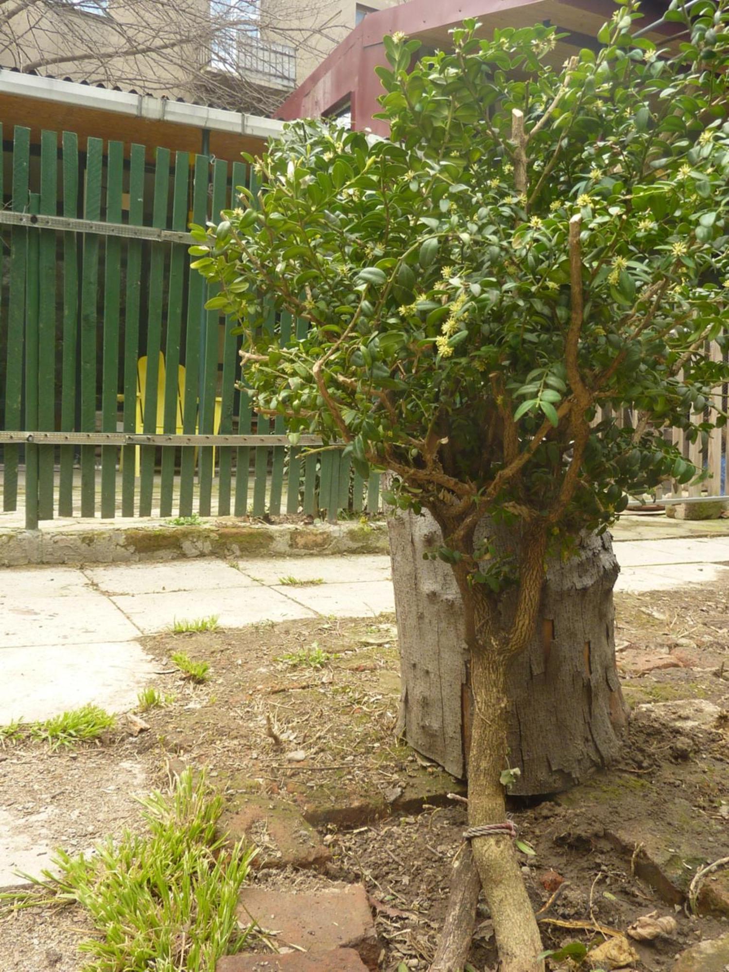 Gardens In Vake, Tbilisi Hotel Exterior photo